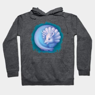 Baby Dinosaur, Triceratops Hoodie